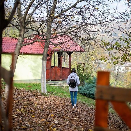 Holiday Home Nanin Konak 2 Vrdnik Zewnętrze zdjęcie