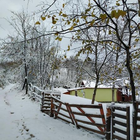 Holiday Home Nanin Konak 2 Vrdnik Zewnętrze zdjęcie