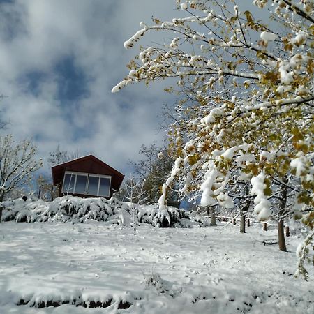 Holiday Home Nanin Konak 2 Vrdnik Zewnętrze zdjęcie