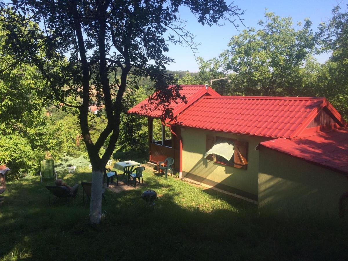 Holiday Home Nanin Konak 2 Vrdnik Zewnętrze zdjęcie
