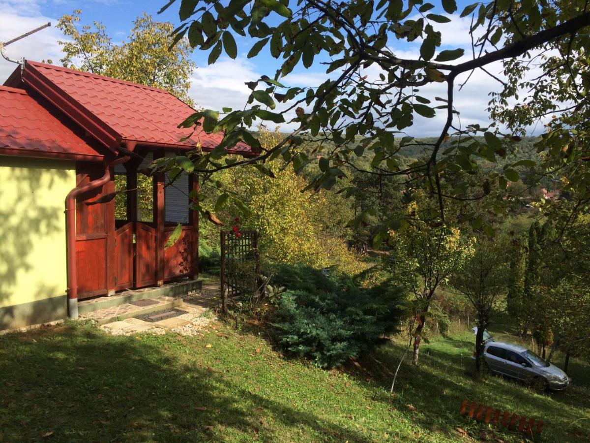 Holiday Home Nanin Konak 2 Vrdnik Zewnętrze zdjęcie