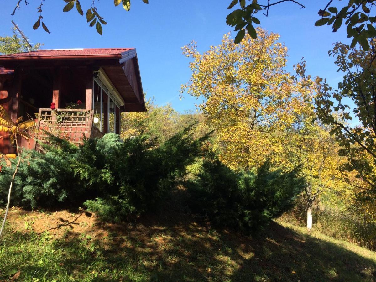 Holiday Home Nanin Konak 2 Vrdnik Zewnętrze zdjęcie
