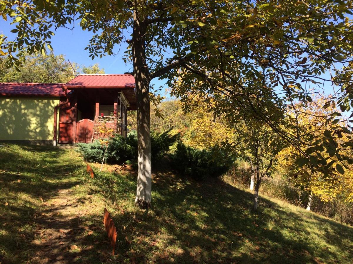 Holiday Home Nanin Konak 2 Vrdnik Zewnętrze zdjęcie