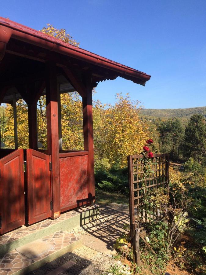 Holiday Home Nanin Konak 2 Vrdnik Zewnętrze zdjęcie