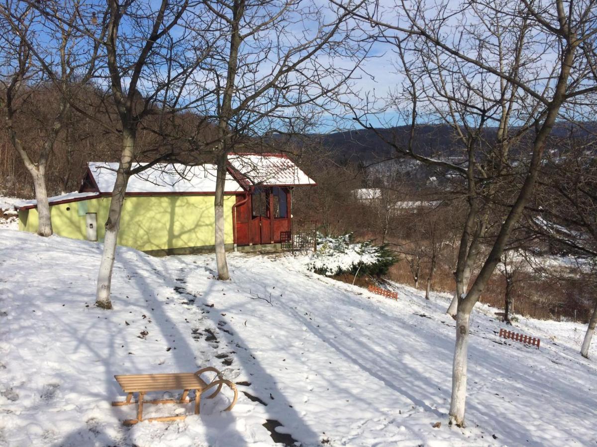 Holiday Home Nanin Konak 2 Vrdnik Zewnętrze zdjęcie