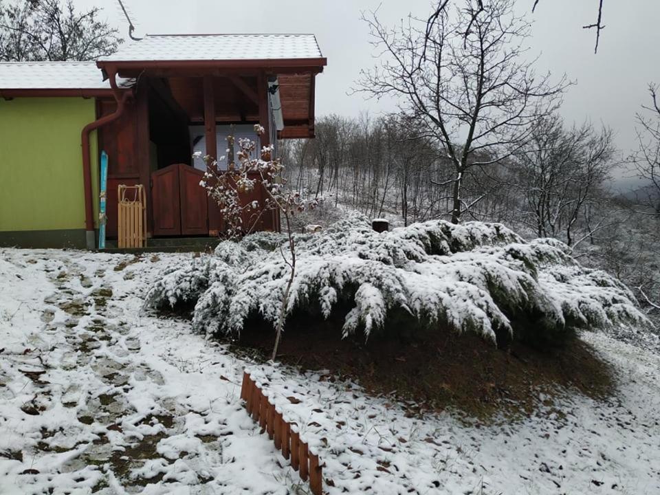 Holiday Home Nanin Konak 2 Vrdnik Zewnętrze zdjęcie