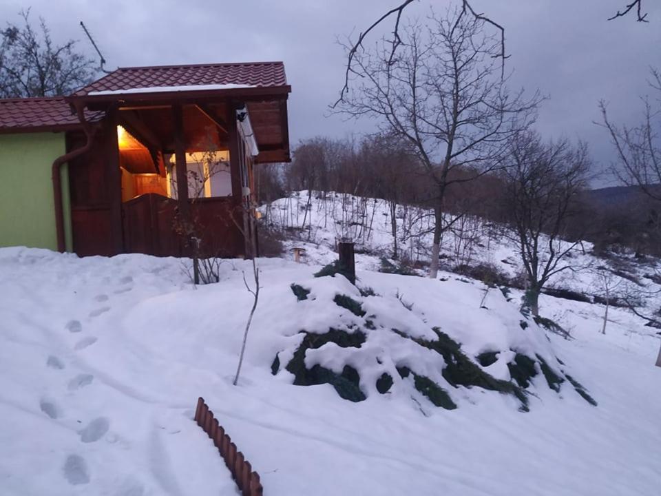 Holiday Home Nanin Konak 2 Vrdnik Zewnętrze zdjęcie