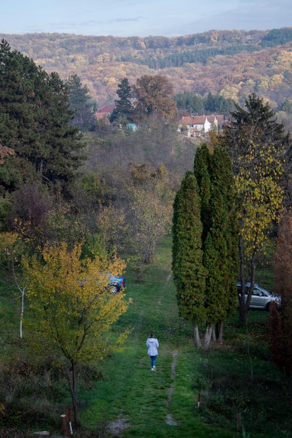 Holiday Home Nanin Konak 2 Vrdnik Zewnętrze zdjęcie