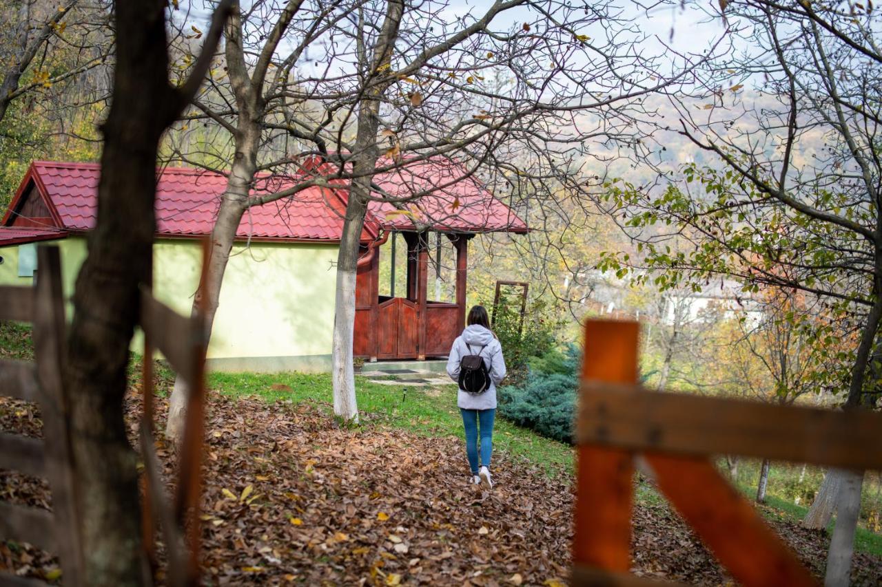 Holiday Home Nanin Konak 2 Vrdnik Zewnętrze zdjęcie
