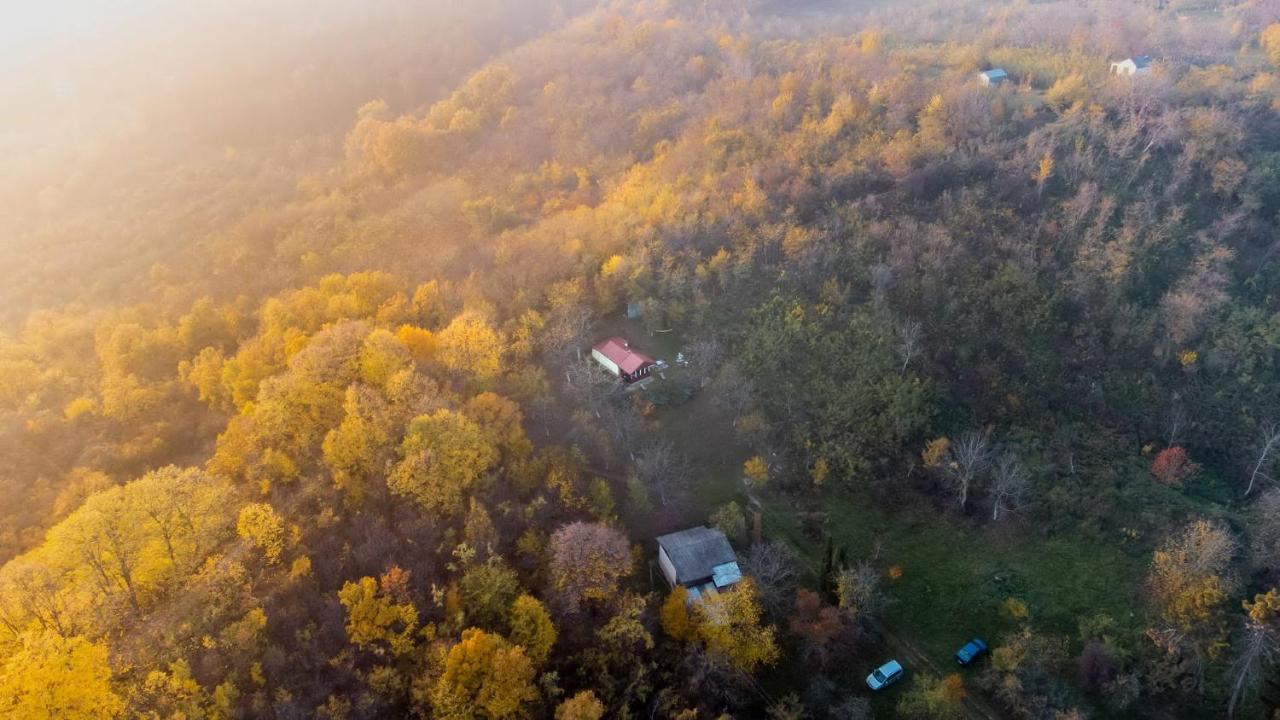 Holiday Home Nanin Konak 2 Vrdnik Zewnętrze zdjęcie