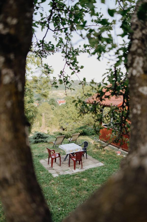 Holiday Home Nanin Konak 2 Vrdnik Zewnętrze zdjęcie