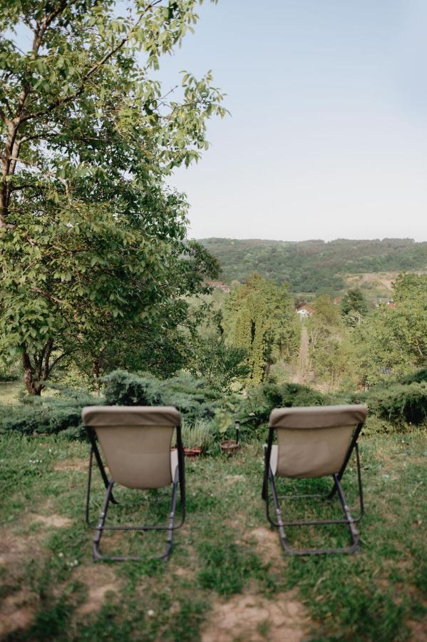 Holiday Home Nanin Konak 2 Vrdnik Zewnętrze zdjęcie