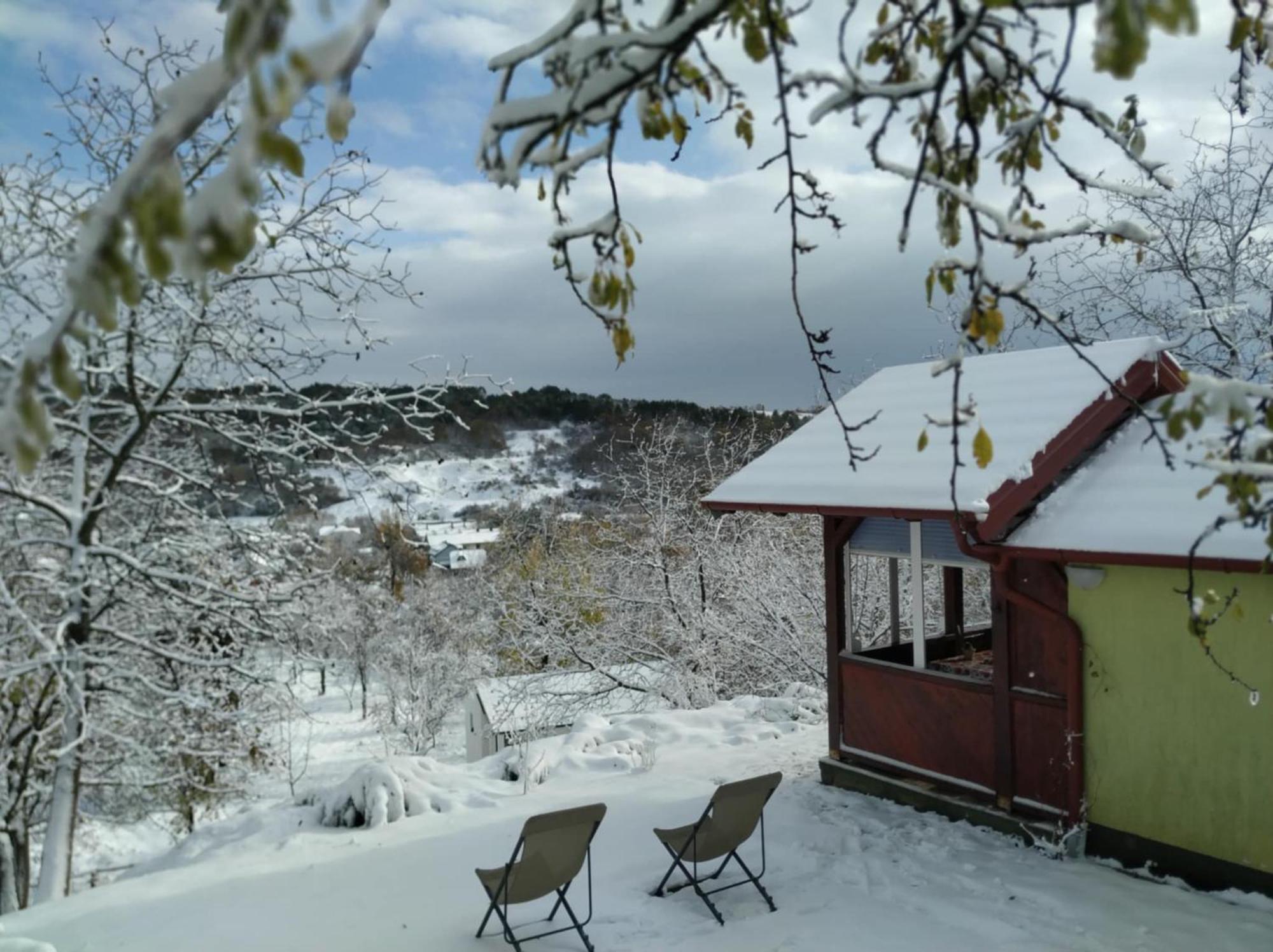 Holiday Home Nanin Konak 2 Vrdnik Zewnętrze zdjęcie