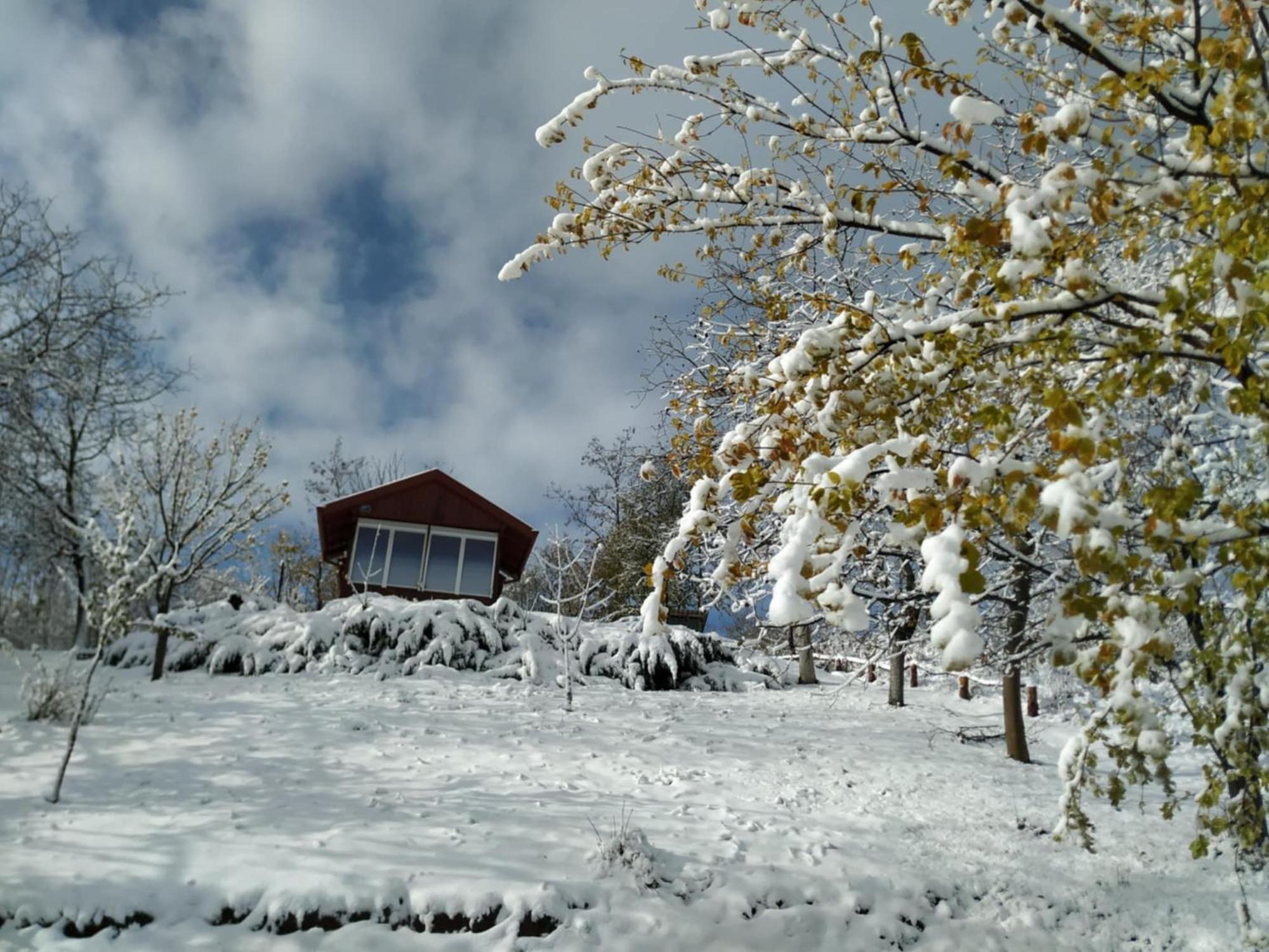 Holiday Home Nanin Konak 2 Vrdnik Zewnętrze zdjęcie