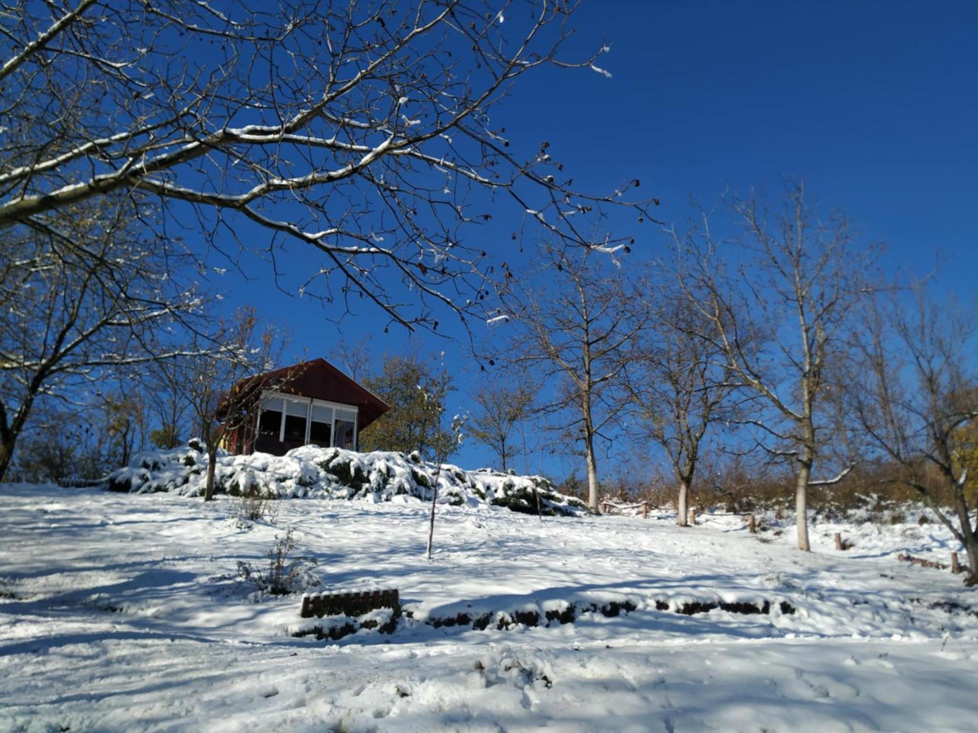 Holiday Home Nanin Konak 2 Vrdnik Zewnętrze zdjęcie