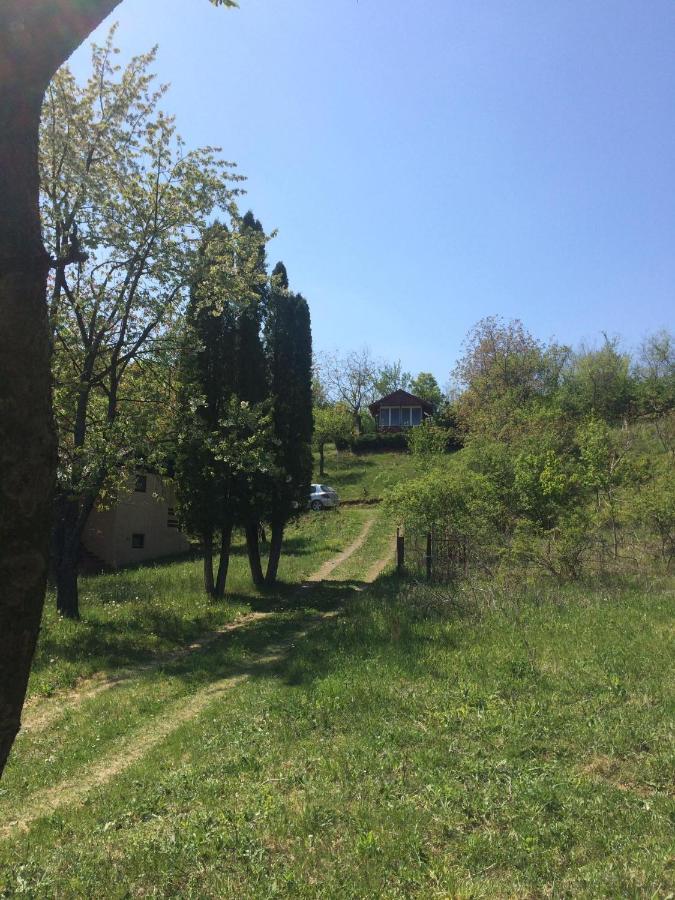 Holiday Home Nanin Konak 2 Vrdnik Zewnętrze zdjęcie