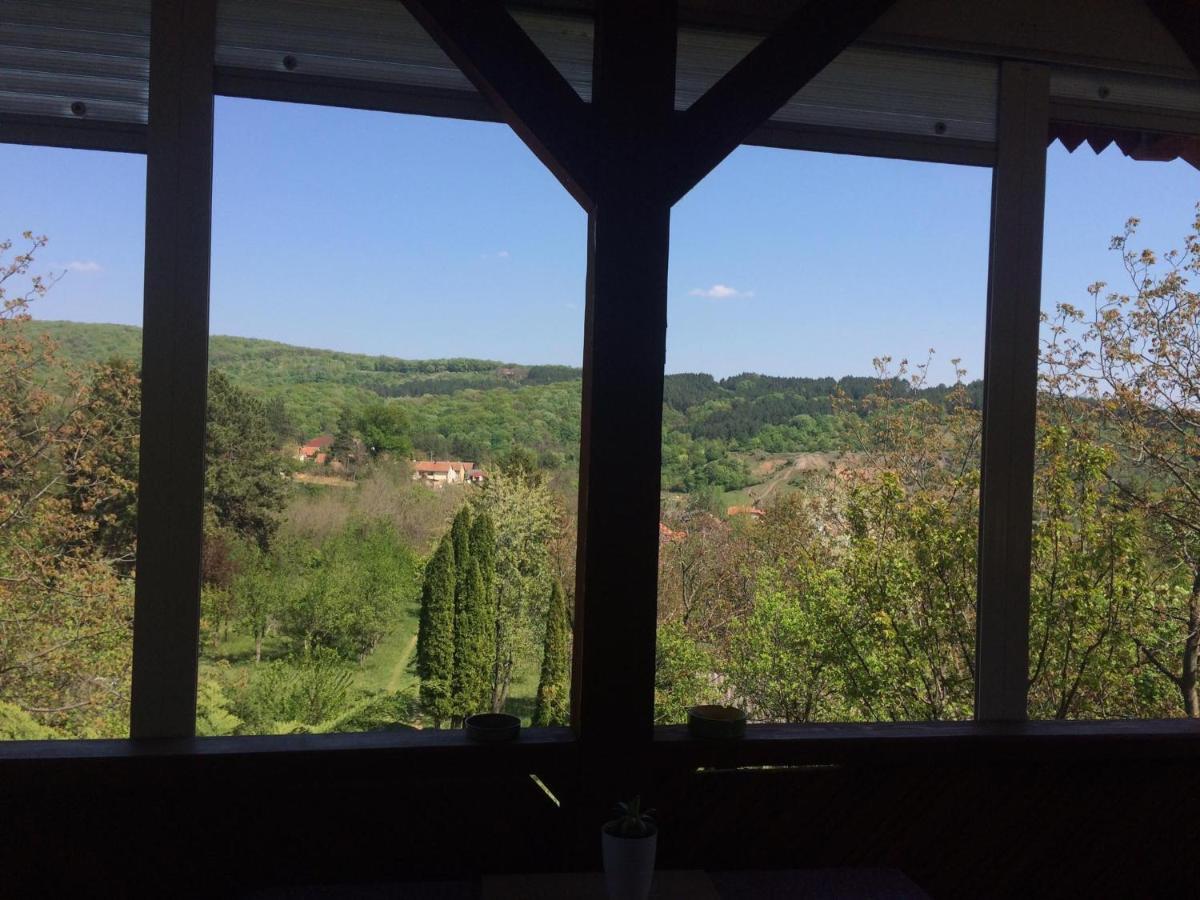 Holiday Home Nanin Konak 2 Vrdnik Zewnętrze zdjęcie